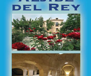 Anuario Fundación Emasagra 2008