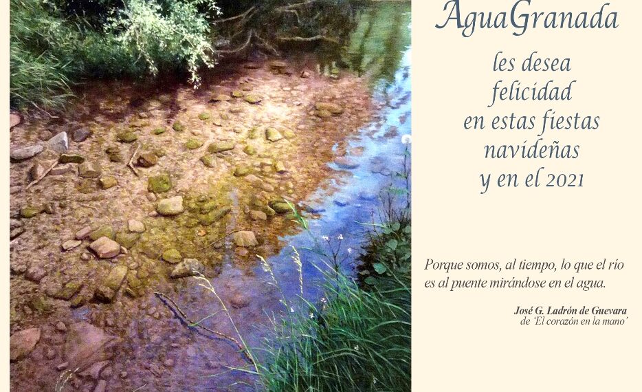 FUNDACIÓN AGUA GRANADA LES DESEA FELICIDAD EN ESTAS FIESTAS NAVIDEÑAS Y EN EL 2021