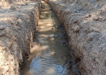 UN NUEVO MILENIO PARA AYNADAMAR