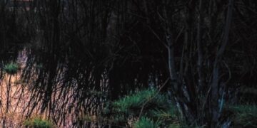 YA TENEMOS GANADORES DEL XII CONCURSO DE FOTOGRAFÍA DEDICADO A SIERRA NEVADA